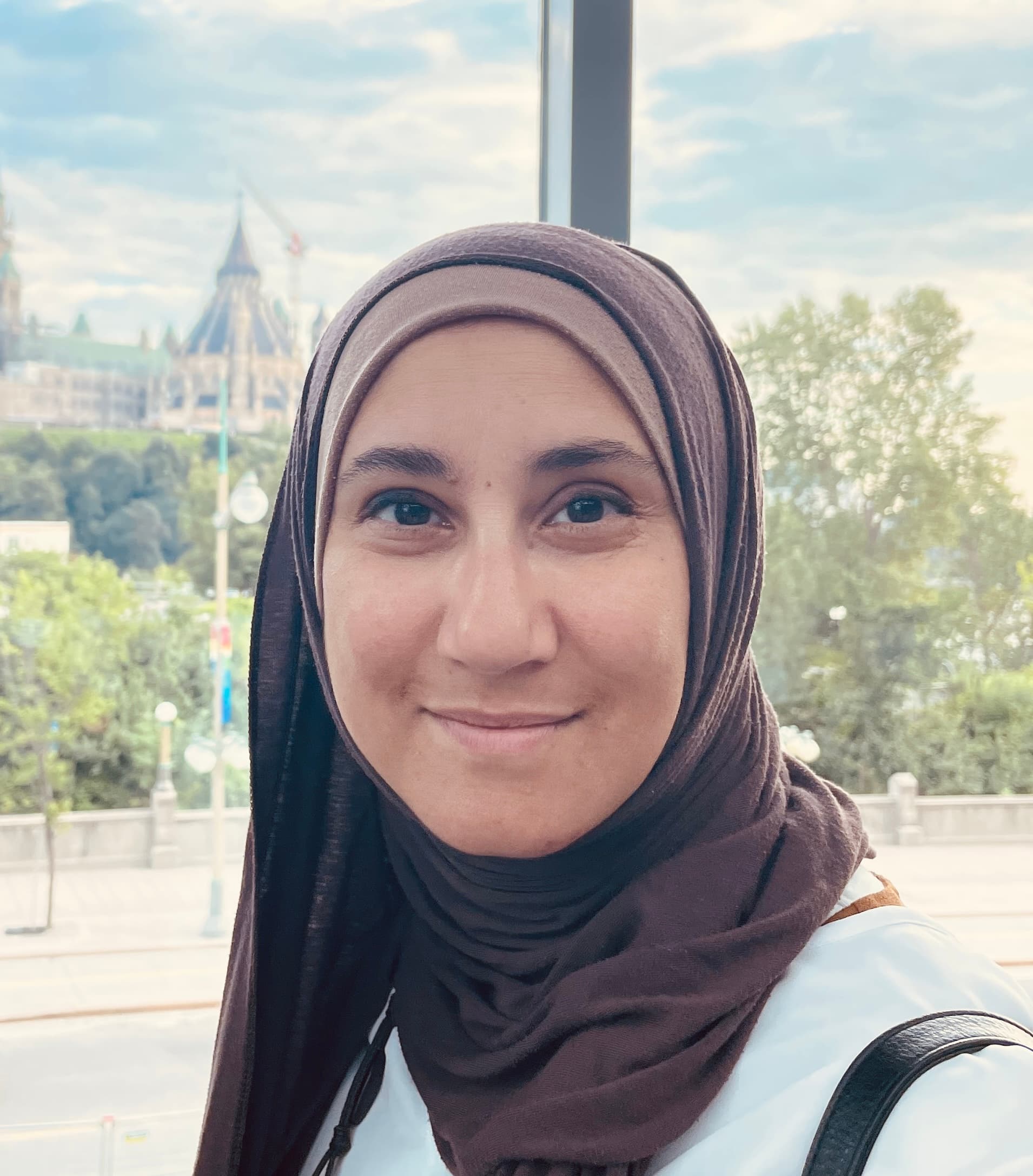 Dr. Aisha Sherazi